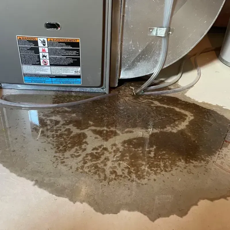 Appliance Leak Cleanup in Canterbury, NH